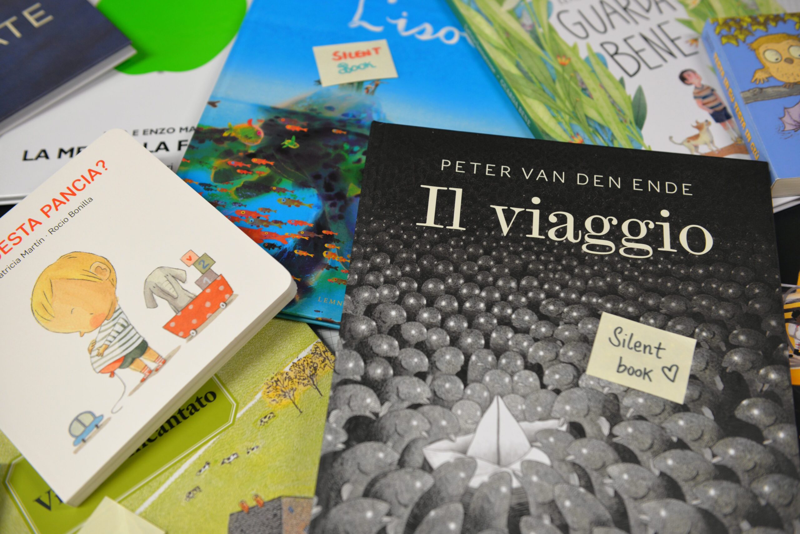 Silent book: la lettura per immagini - Libreria Vettori