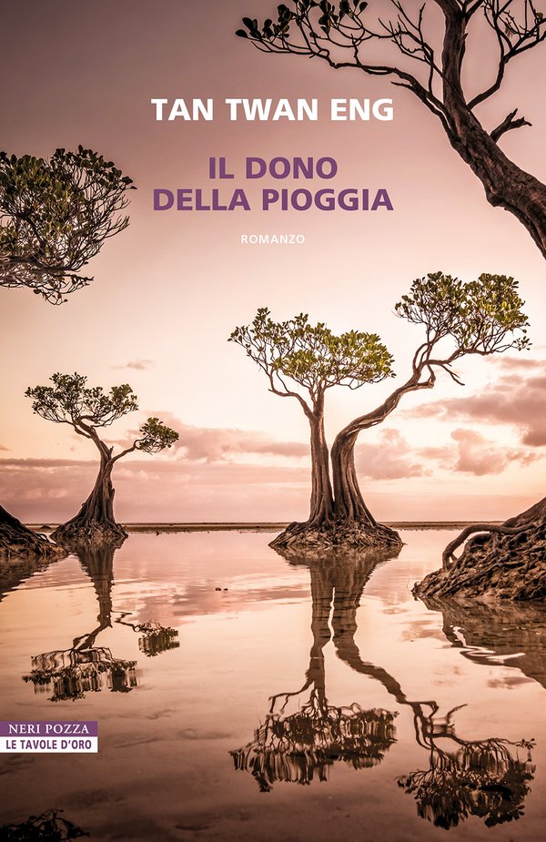 il-dono-della-pioggia